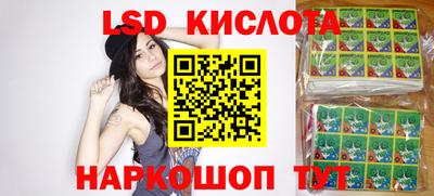 ПСИЛОЦИБИНОВЫЕ ГРИБЫ Заволжье