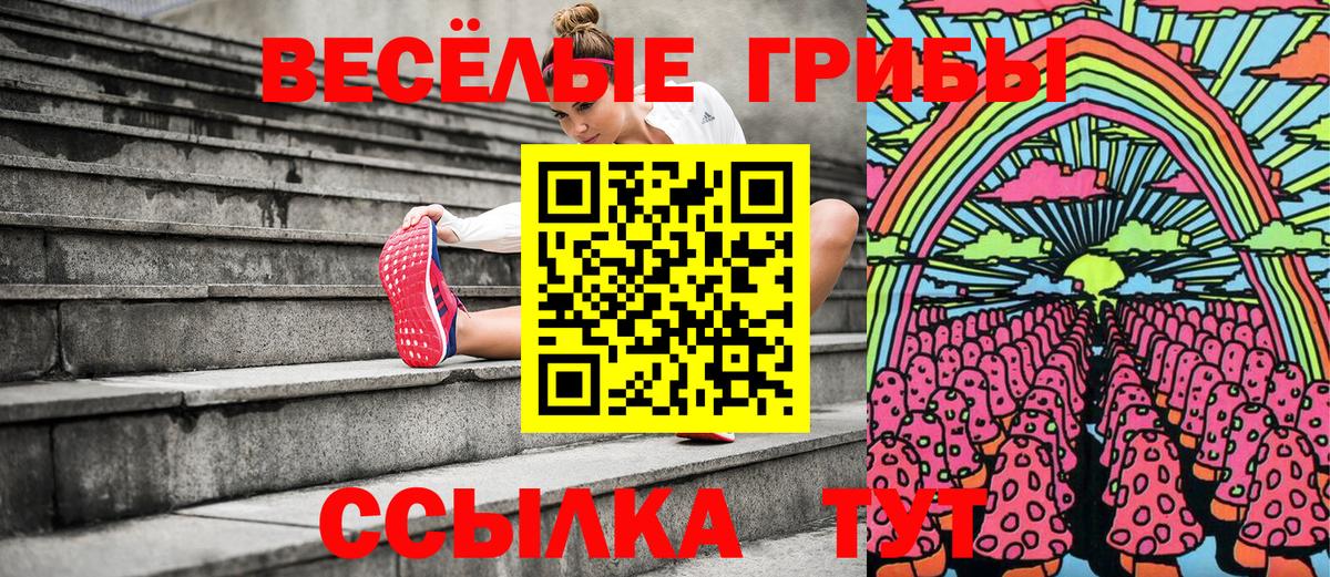 Псилоцибиновые грибы Cubensis Лесозаводск