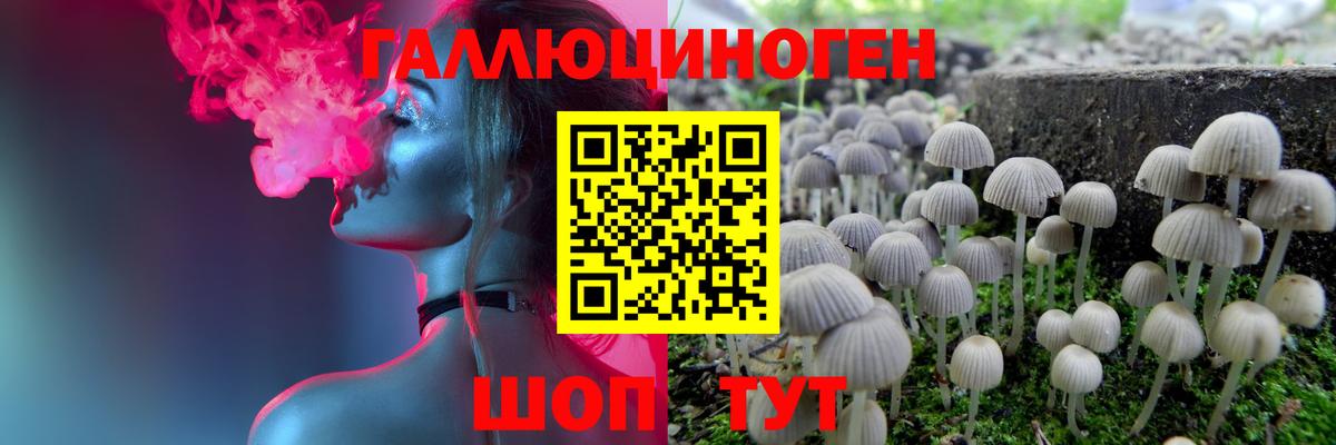 наркота  Псилоцибиновые грибы GOLDEN TEACHER  Вход с VPN  Лесозаводск 